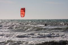 MG_8028