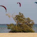 Ägypten Reiseblog - das war Woche 1 31