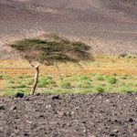 Ägypten Reiseblog - Quadtour 33