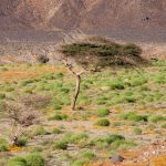 Ägypten Reiseblog - Quadtour 17