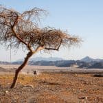 Ägypten Reiseblog - Quadtour 25