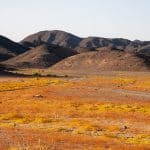 Ägypten Reiseblog - Quadtour 1