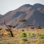 Ägypten Reiseblog - Quadtour 5