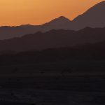 Ägypten Reiseblog - Quadtour 14