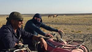Egypt travel blog - the desert is alive! 46