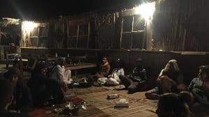 Egypt travel blog - the desert is alive! 44
