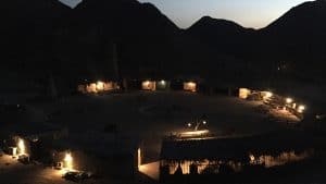 Egypt travel blog - the desert is alive! 43
