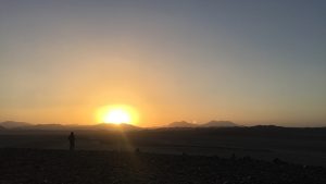 Egypt travel blog - the desert is alive! 42