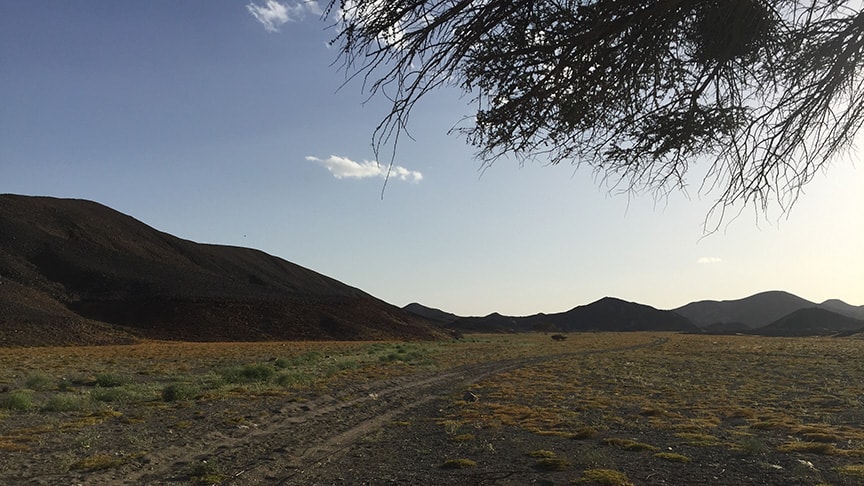 Egypt travel blog - the desert is alive! 40