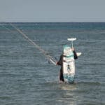 Dates online - Egypt kite trip 2020 117