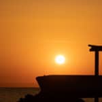 Dates online - Egypt kite trip 2020 113