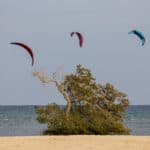 Dates online - Egypt kite trip 2020 96
