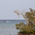 Dates online - Egypt kite trip 2020 106