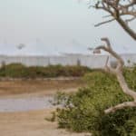 Dates online - Egypt kite trip 2020 99