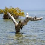 Ägypten Reiseblog 2020 – Teil 3 57
