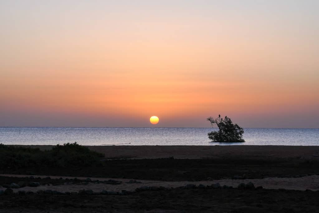 Ägypten Reiseblog 2020 – Teil 3 42