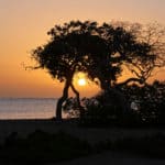 Ägypten Reiseblog 2020 – Teil 3 23