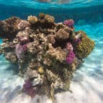 Ägypten Reiseblog 2020 – Teil 3 26