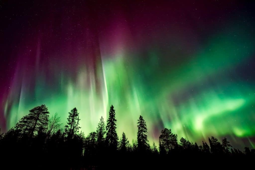 *RECHAZADO* Lapland Snowkite Camp 04.02.-11.02.2023 8
